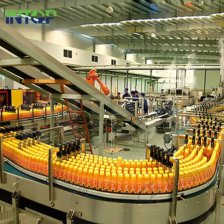 Produktionslinie für Apfelsaft
