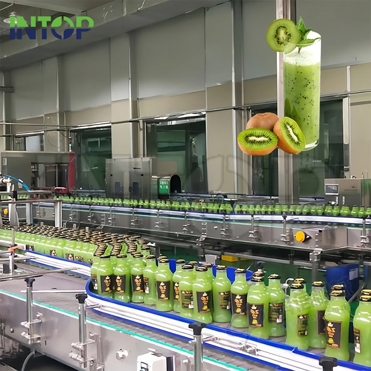 Produktionslinie für Kiwisaft