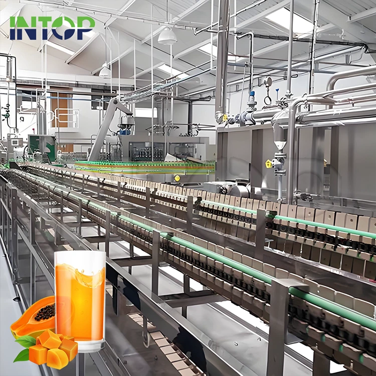 Produktionslinie für Papayasaft