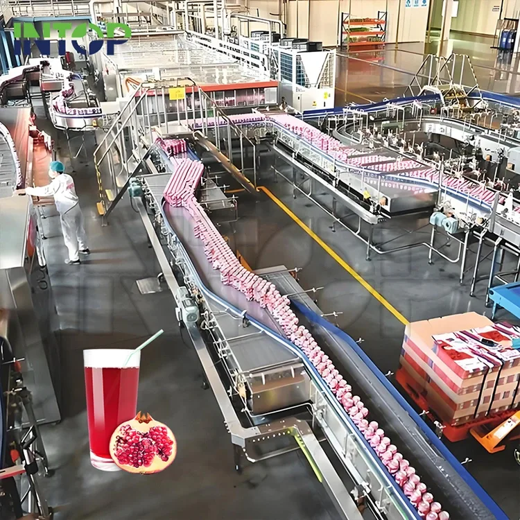 Granatapfelsaft-Produktionslinie